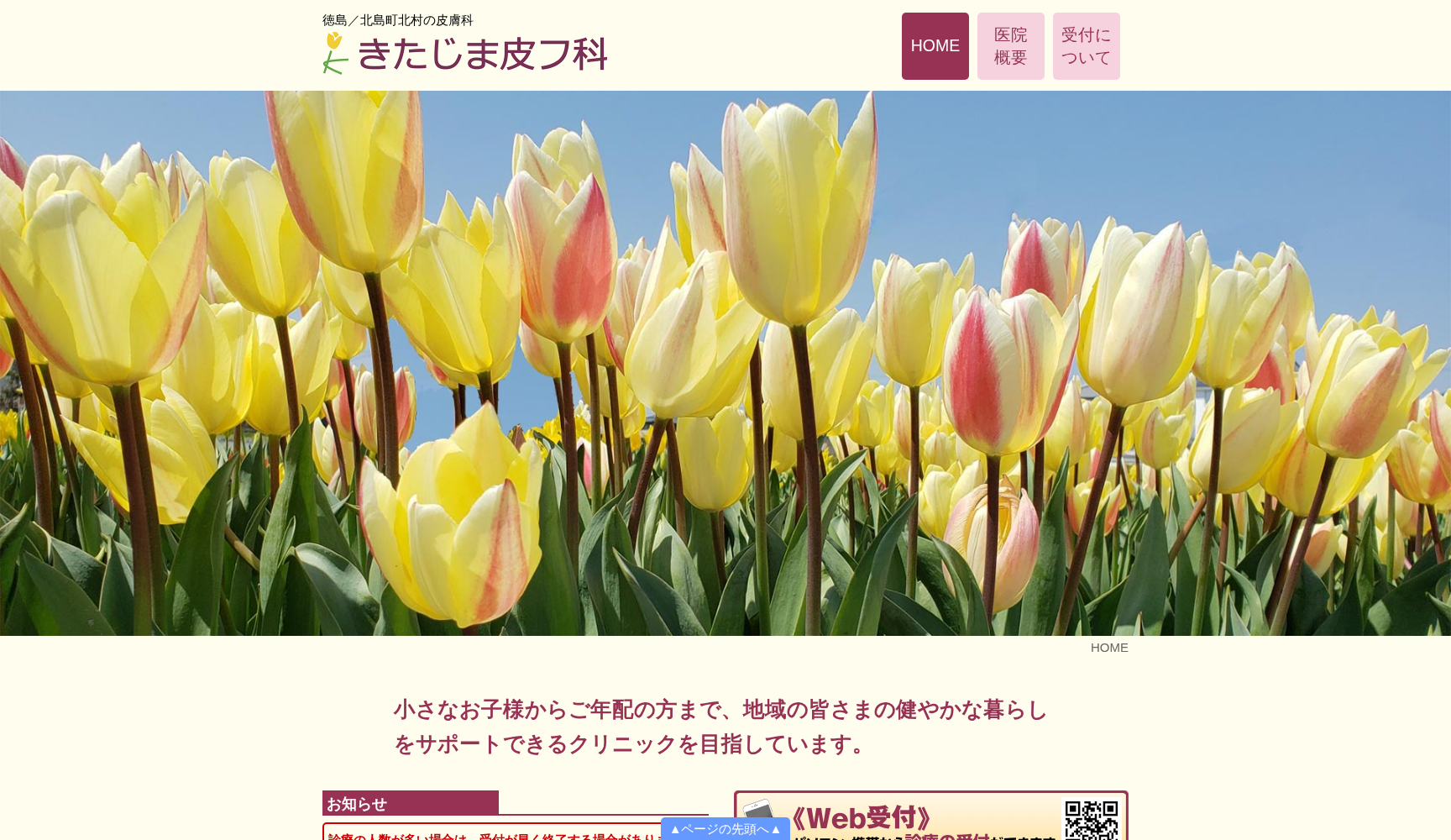 きたじま皮フ科