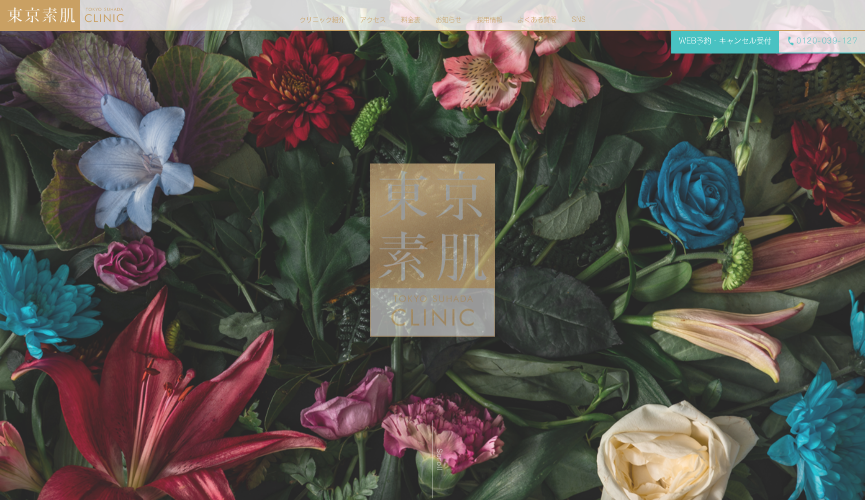 医療法人社団 優聖会 東京素肌クリニック 銀座本院