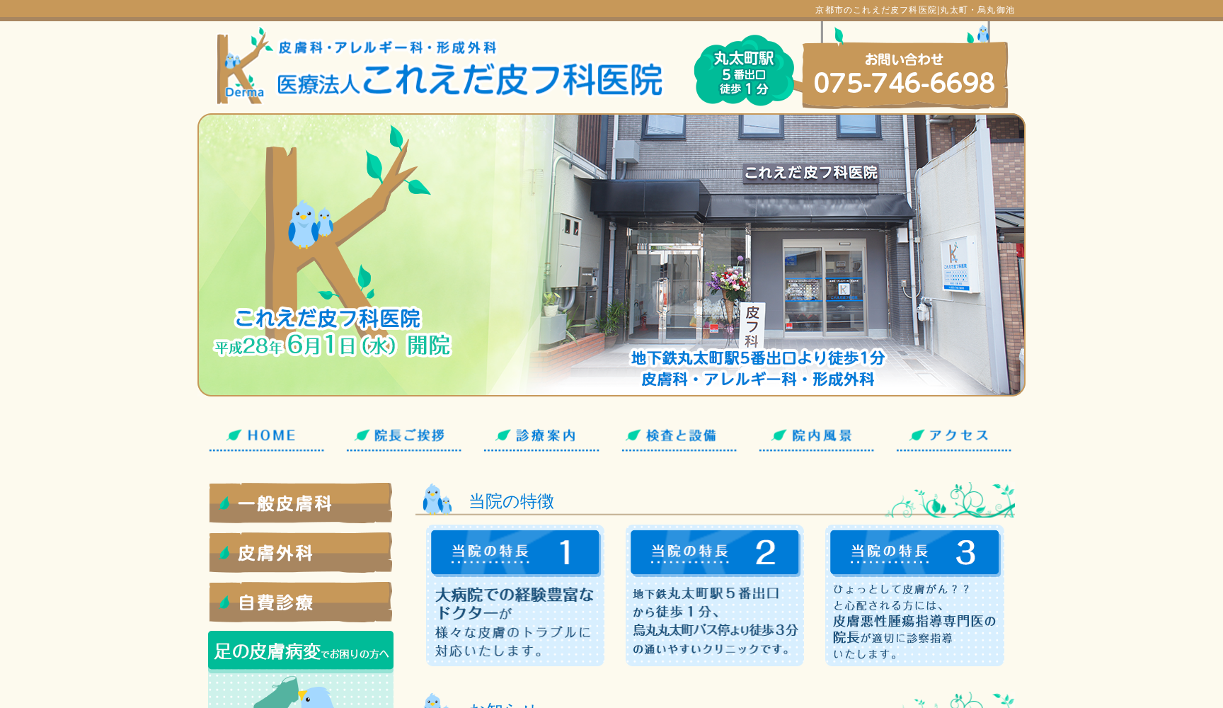 これえだ皮フ科医院