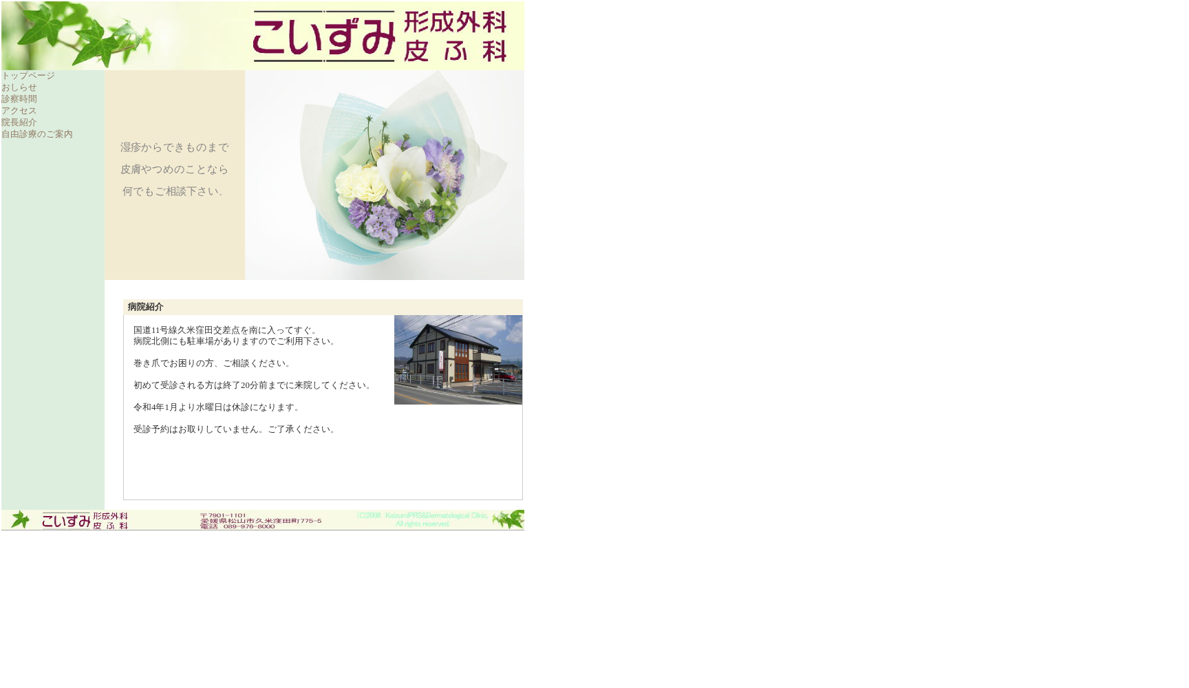 こいずみ形成外科皮ふ科