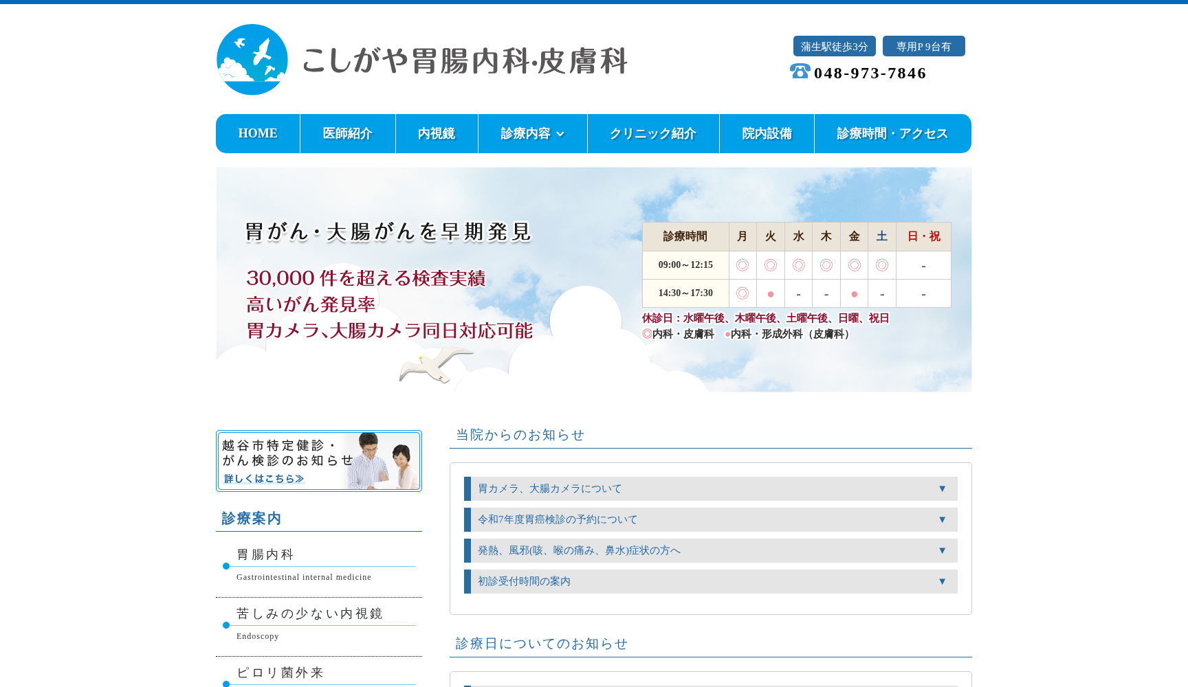 こしがや胃腸内科・皮膚科