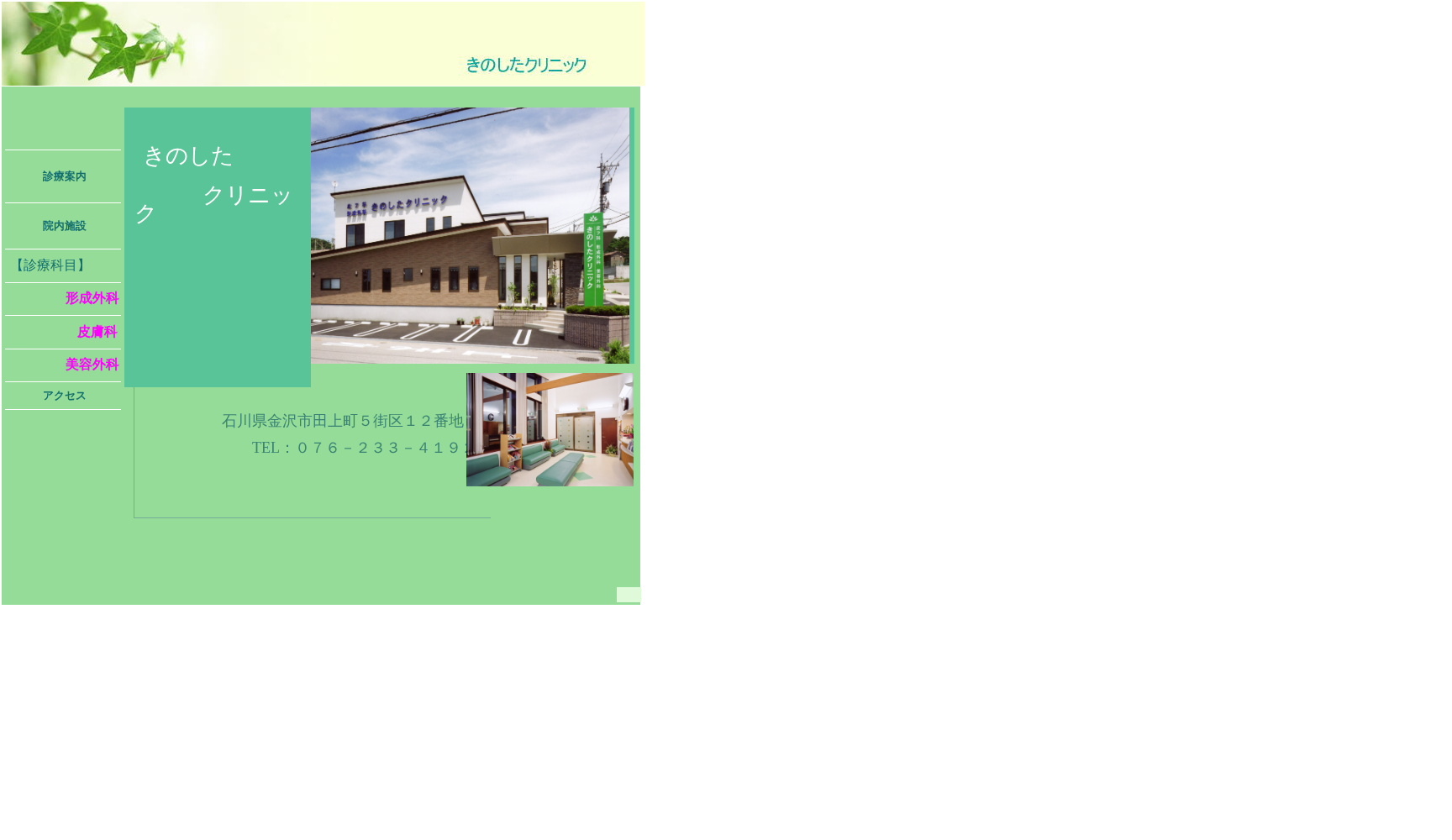 医療法人社団 きのしたクリニック