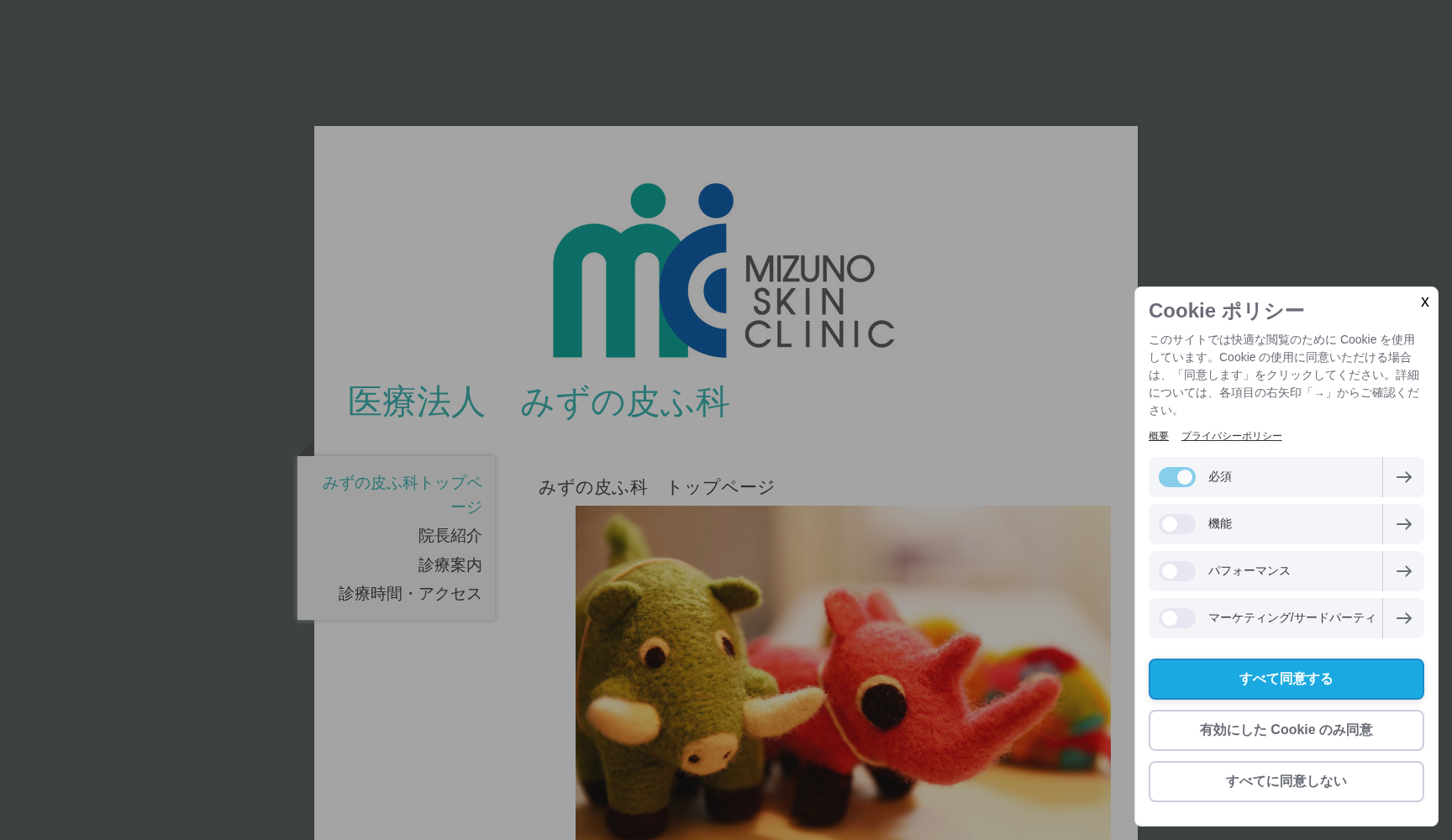 医療法人みずの皮ふ科