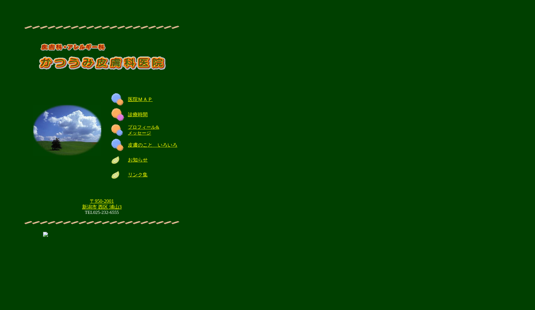 かつうみ皮膚科医院