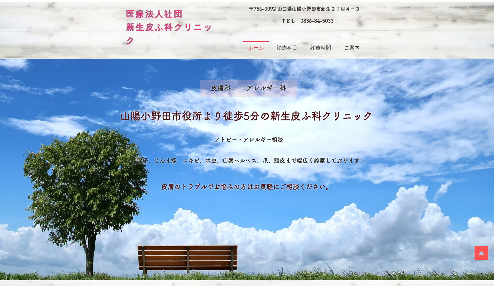 医療法人社団新生皮ふ科クリニック