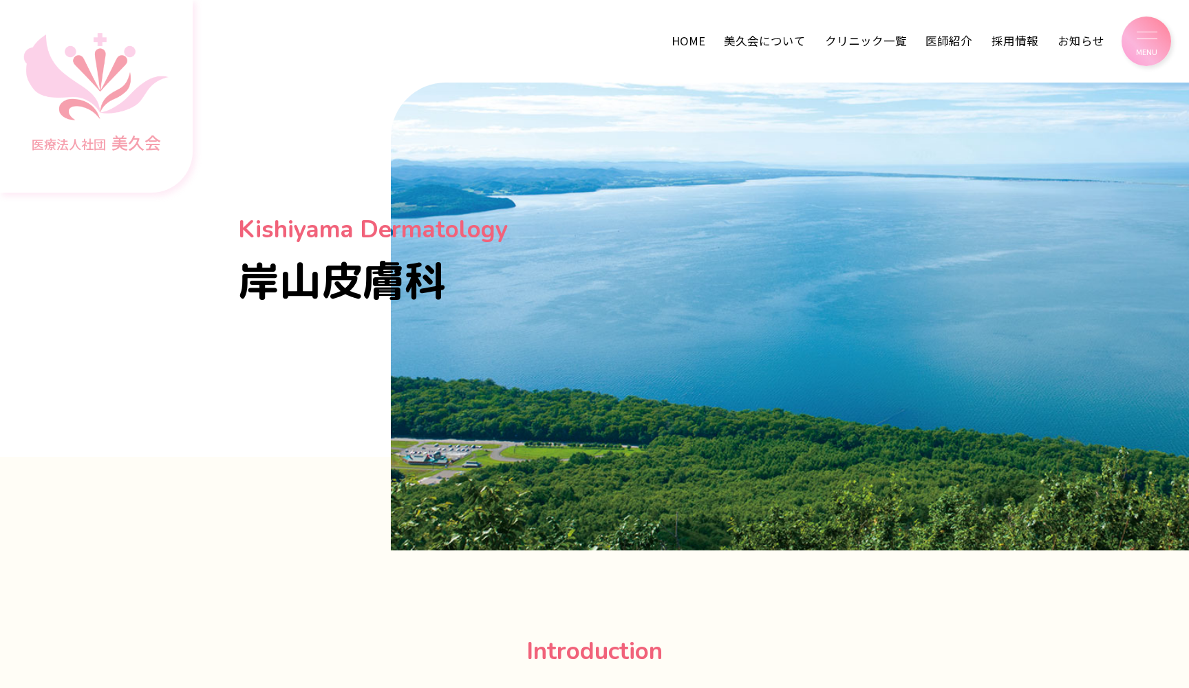 医療法人社団美久会 岸山皮膚科