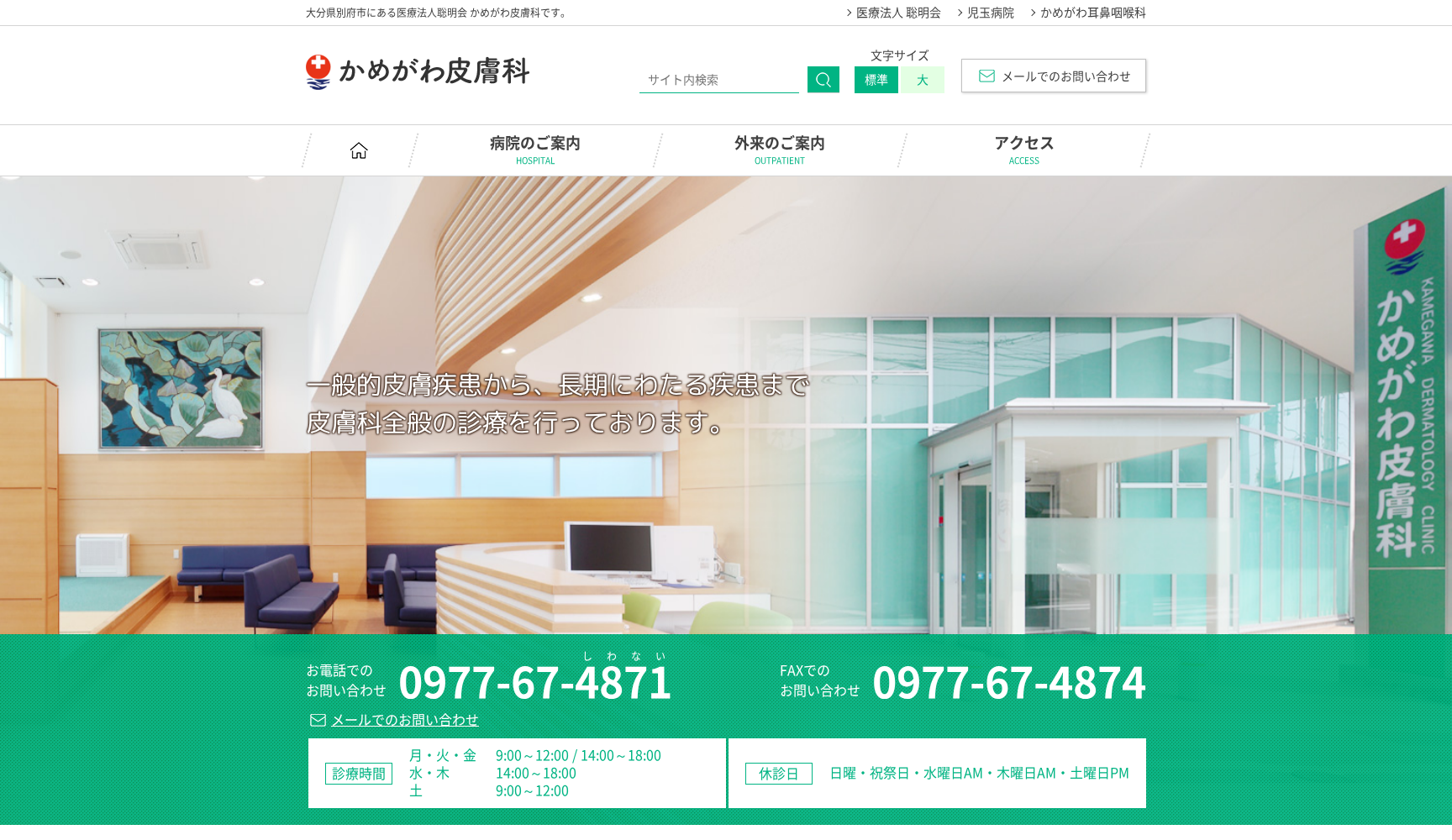 かめがわ皮膚科