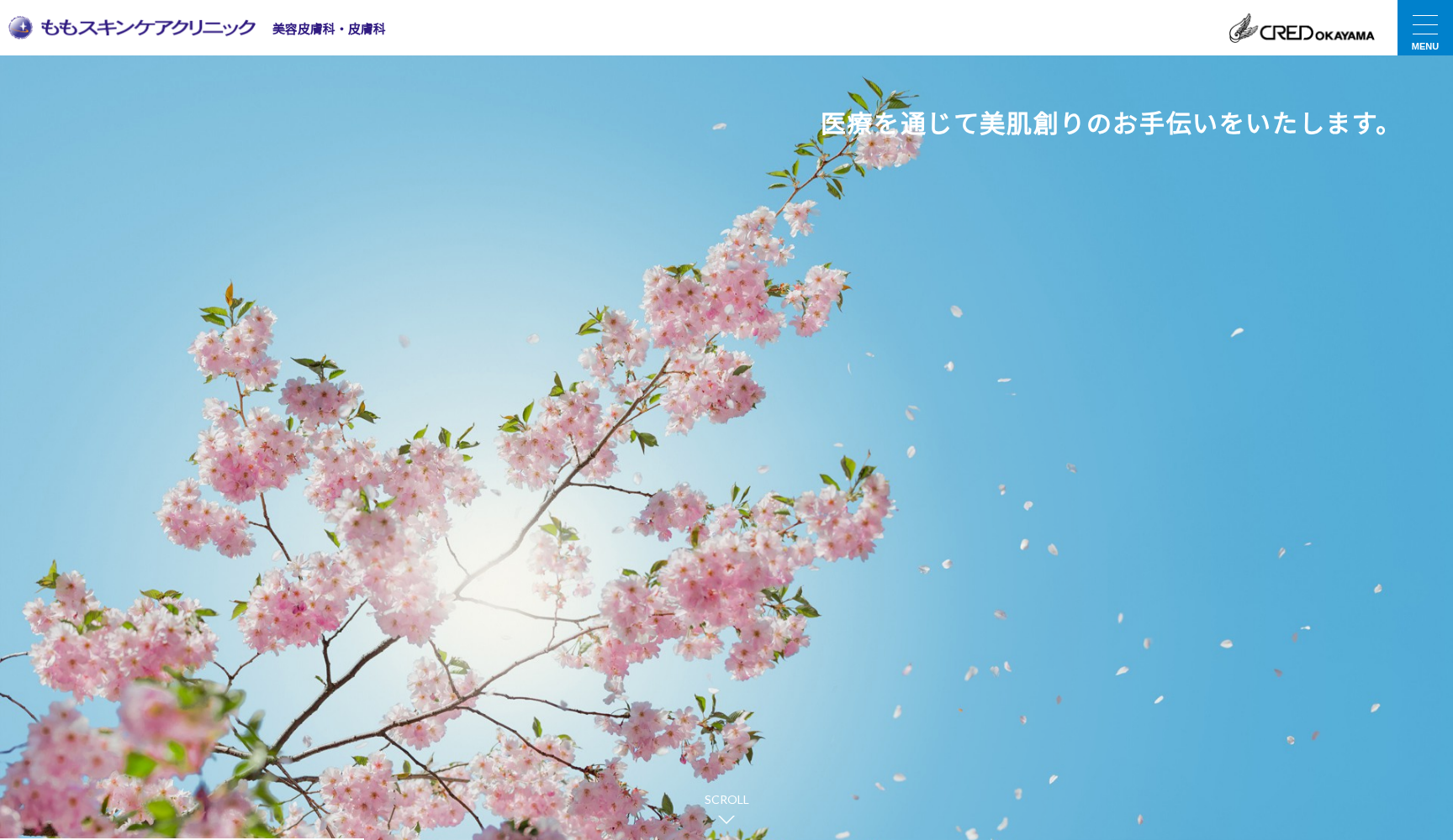 医療法人社団ももスキンケアクリニック